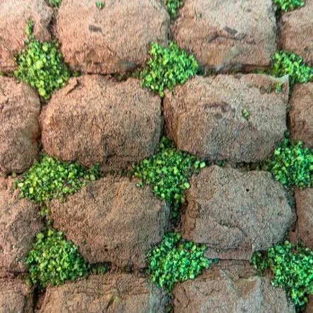 Молочная с какао